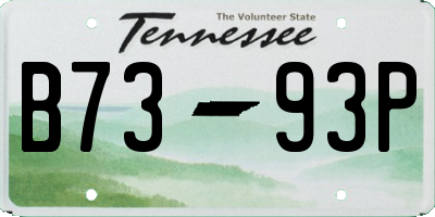 TN license plate B7393P