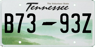TN license plate B7393Z