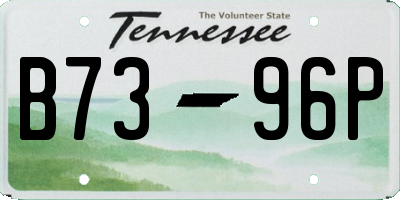 TN license plate B7396P