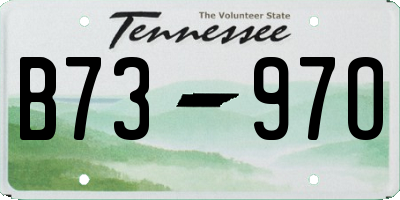 TN license plate B7397O