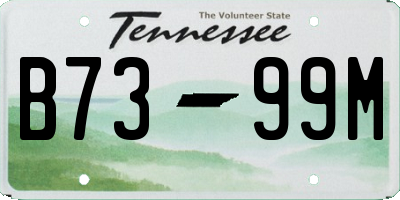 TN license plate B7399M