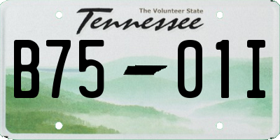 TN license plate B7501I