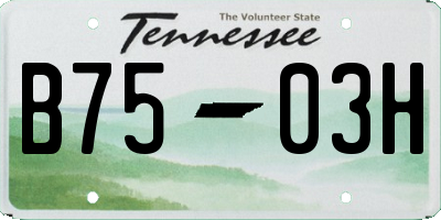 TN license plate B7503H