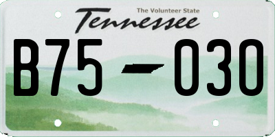 TN license plate B7503O