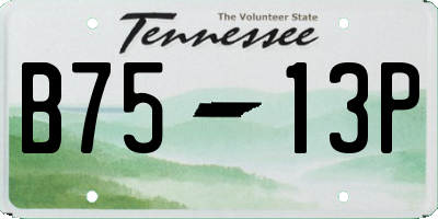 TN license plate B7513P
