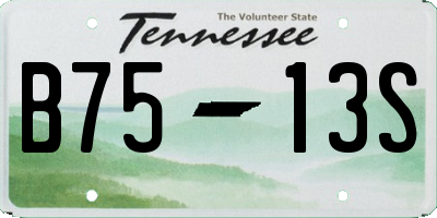 TN license plate B7513S