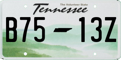 TN license plate B7513Z