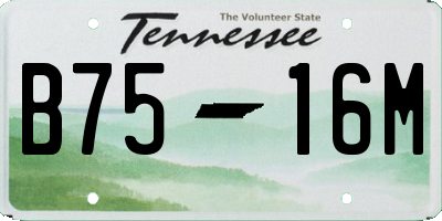 TN license plate B7516M