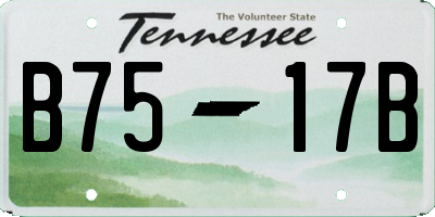 TN license plate B7517B