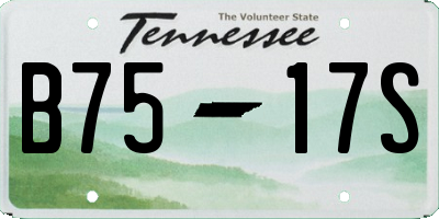 TN license plate B7517S