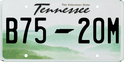TN license plate B7520M