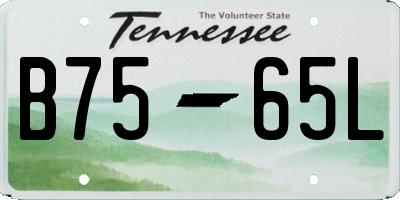 TN license plate B7565L