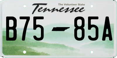 TN license plate B7585A