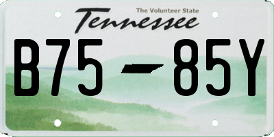 TN license plate B7585Y