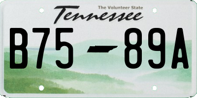 TN license plate B7589A
