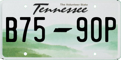 TN license plate B7590P