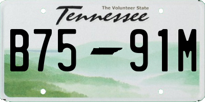 TN license plate B7591M