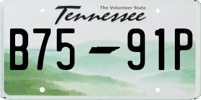 TN license plate B7591P
