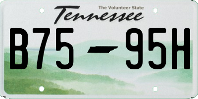 TN license plate B7595H