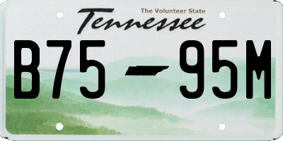 TN license plate B7595M