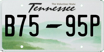 TN license plate B7595P