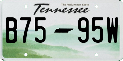 TN license plate B7595W