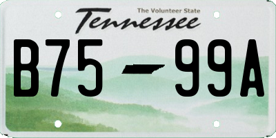 TN license plate B7599A