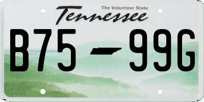 TN license plate B7599G