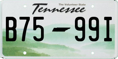 TN license plate B7599I