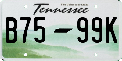 TN license plate B7599K