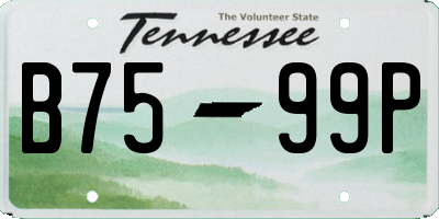 TN license plate B7599P