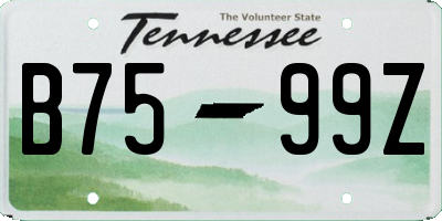 TN license plate B7599Z