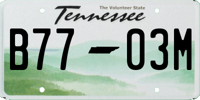 TN license plate B7703M