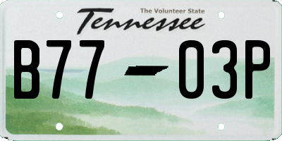 TN license plate B7703P