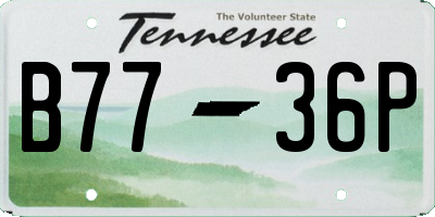 TN license plate B7736P