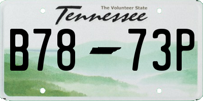 TN license plate B7873P