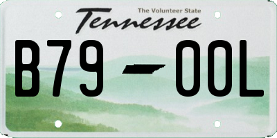 TN license plate B7900L