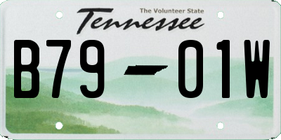 TN license plate B7901W