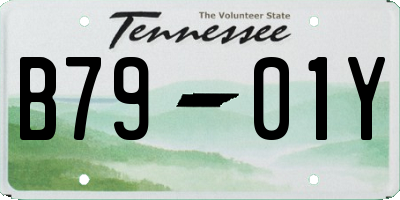 TN license plate B7901Y