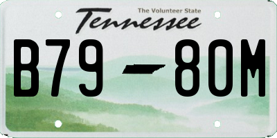 TN license plate B7980M