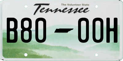 TN license plate B8000H