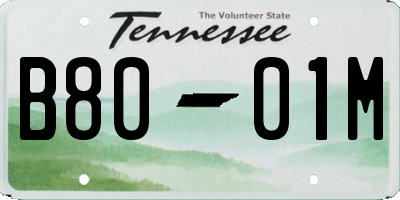 TN license plate B8001M