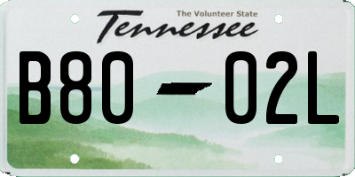 TN license plate B8002L