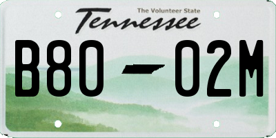 TN license plate B8002M