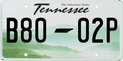 TN license plate B8002P