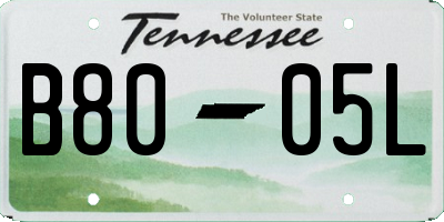 TN license plate B8005L