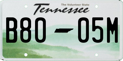 TN license plate B8005M