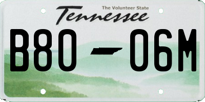 TN license plate B8006M