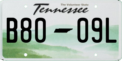 TN license plate B8009L