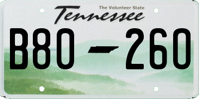 TN license plate B8026O